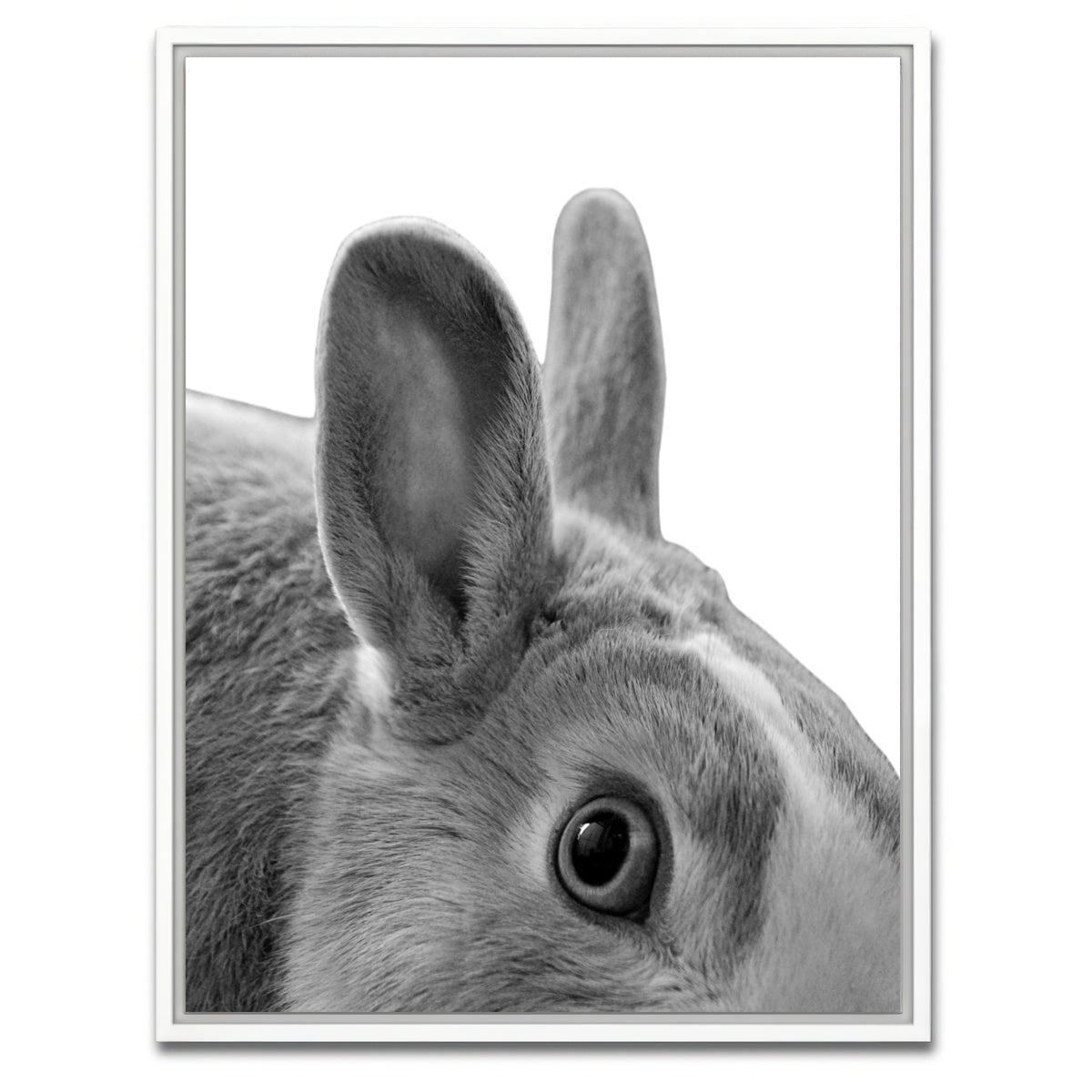 AUTO-MOCKUP WHITE | Rabbit | 1 Piece | White Framed Canvas | group=3x4