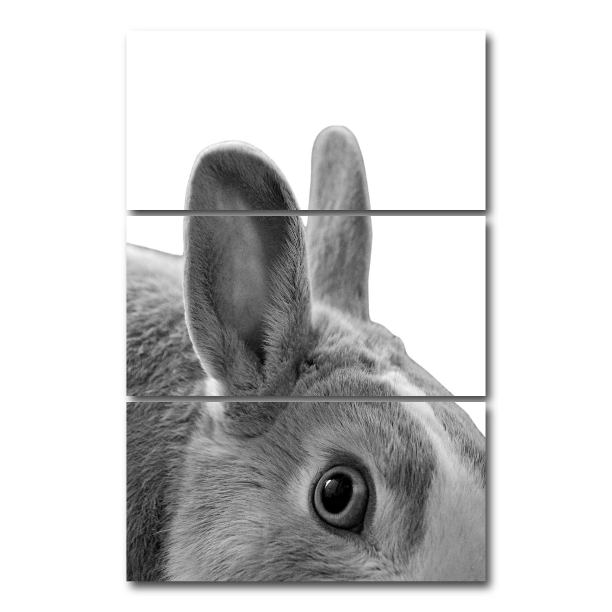 AUTO-MOCKUP WHITE | Rabbit | 3 Piece | Gallery Wrap Canvas | group=12x24_stacked