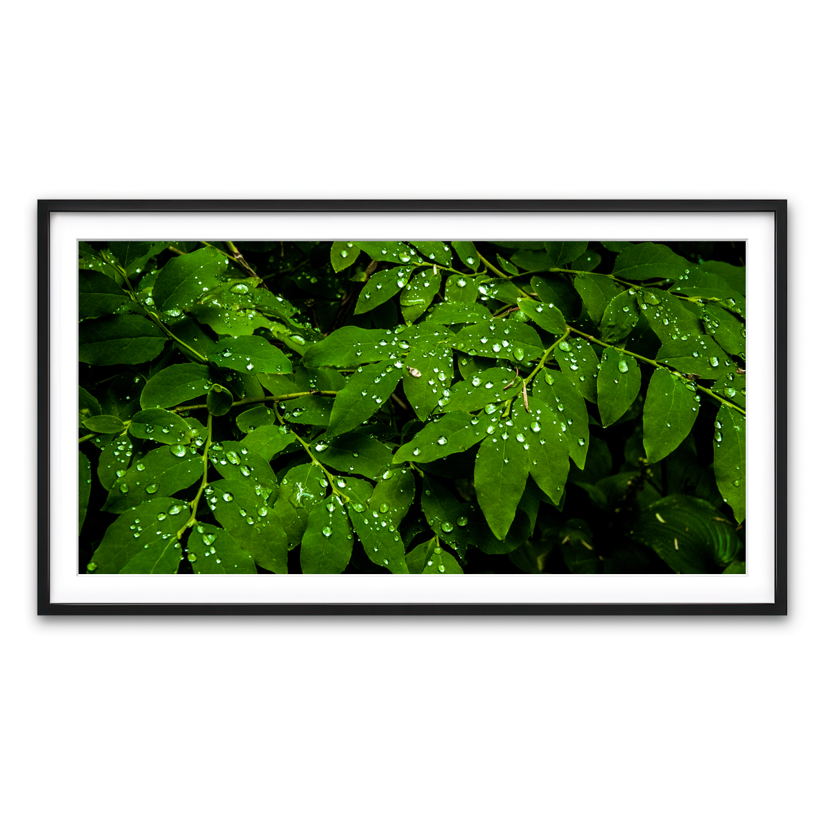 Framed Print 2x1 Black