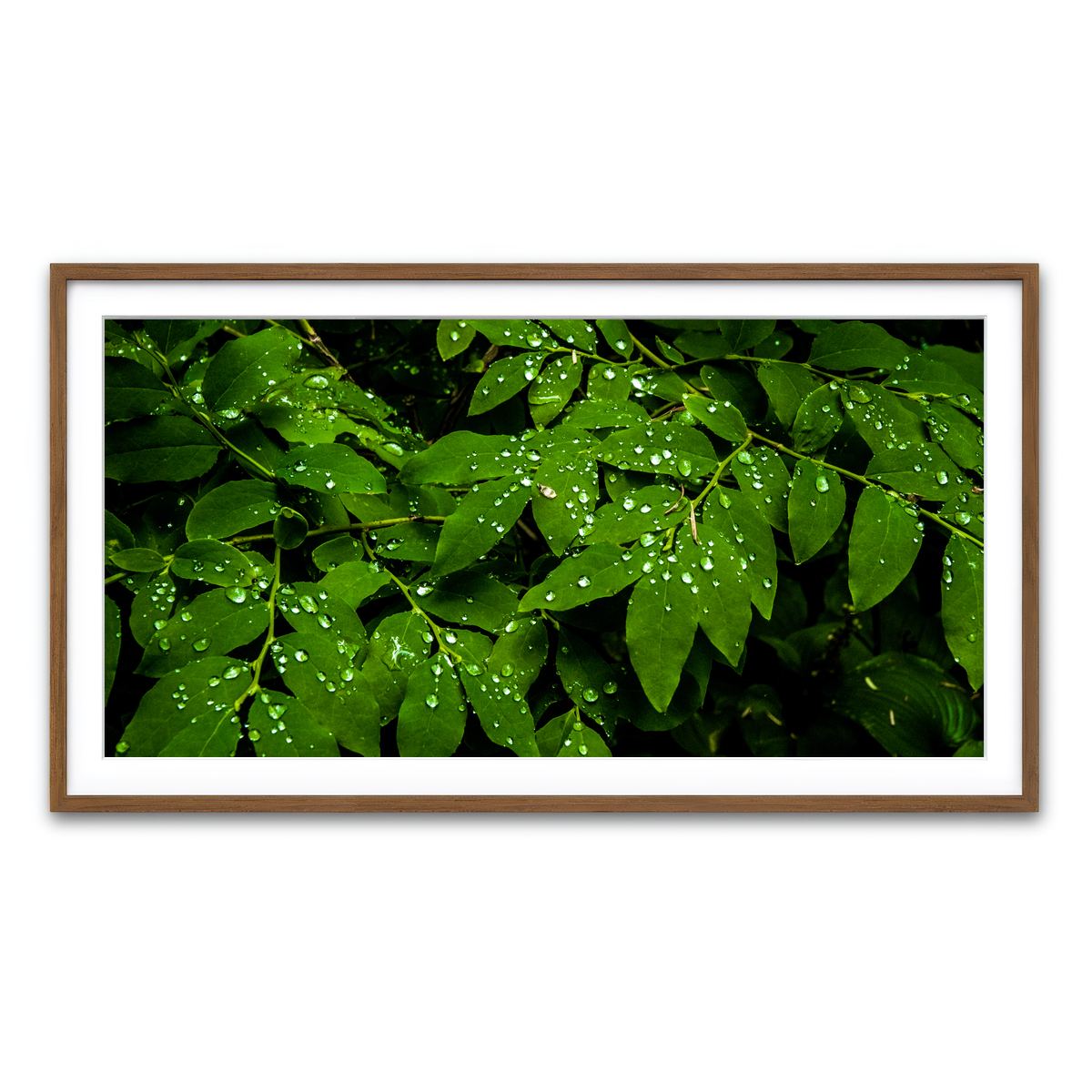 Framed Print 2x1 Walnut