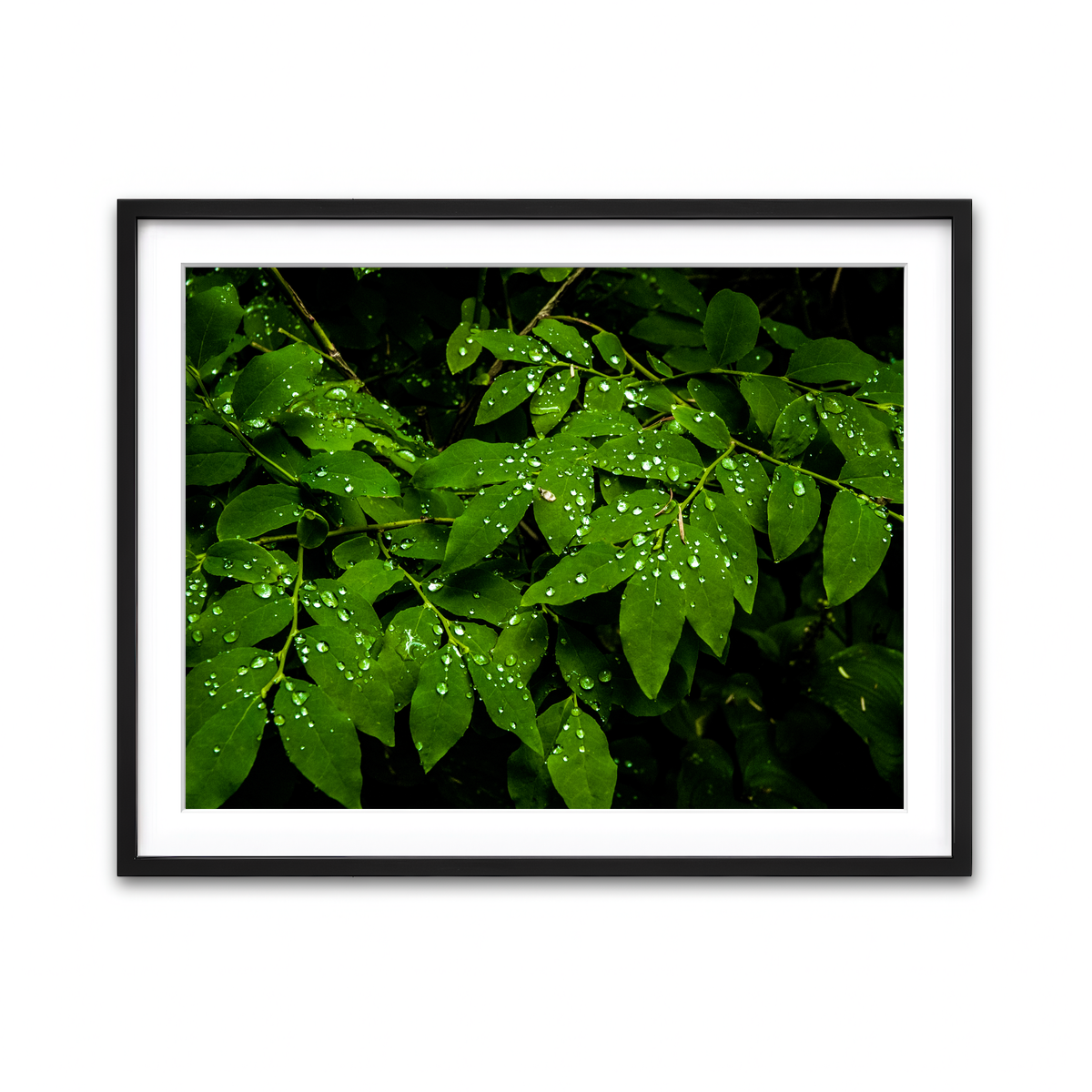 Framed Print 4x3 Black