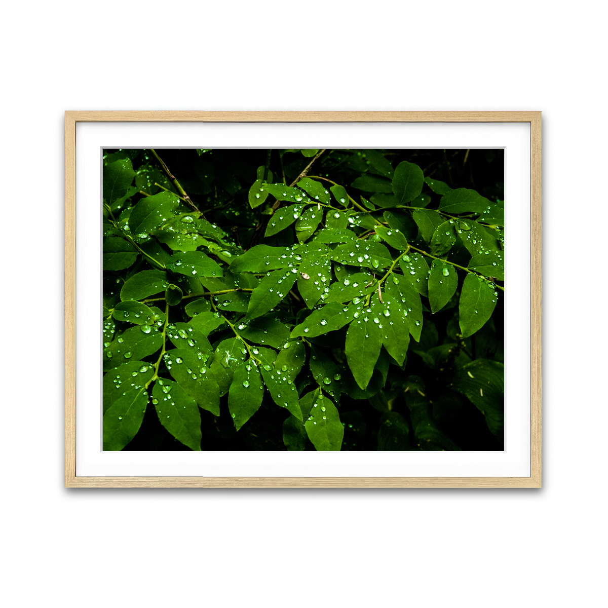 Framed Print 4x3 Natural