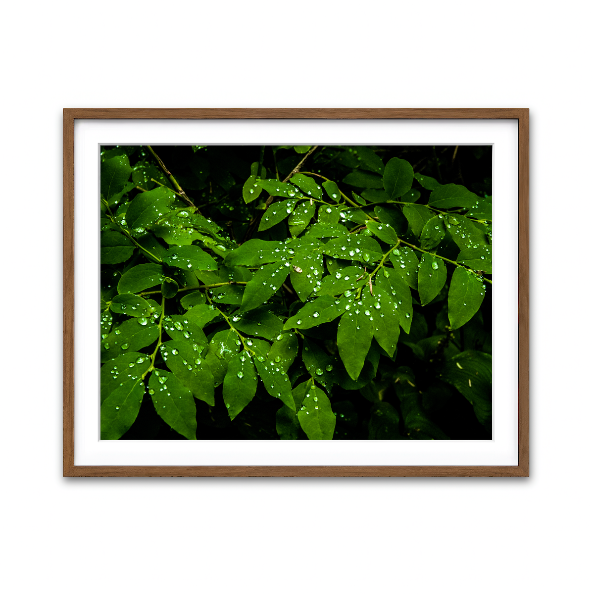 Framed Print 4x3 Walnut