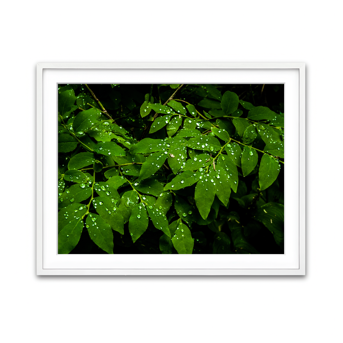 Framed Print 4x3 White