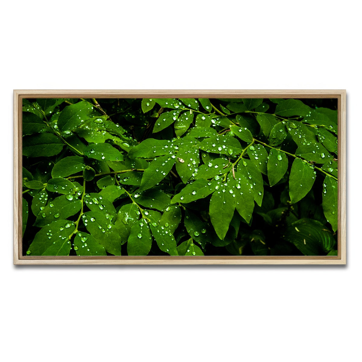 AUTO-MOCKUP WHITE | Rain Drops on Leaves | 1 Piece | Natural Framed Canvas | group=2x1