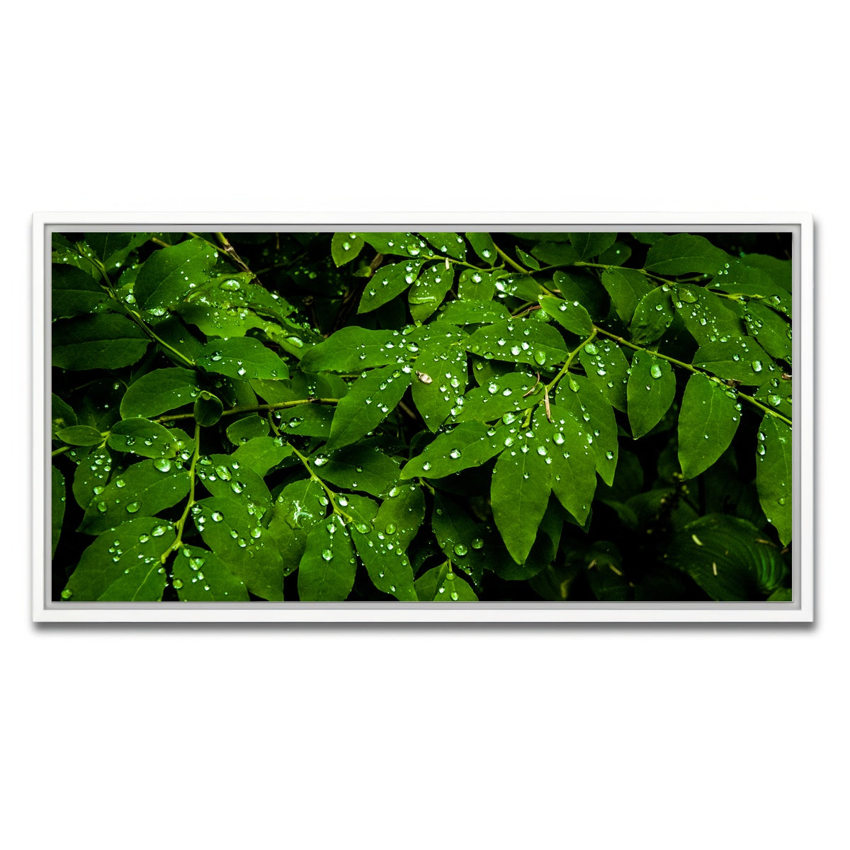 AUTO-MOCKUP WHITE | Rain Drops on Leaves | 1 Piece | White Framed Canvas | group=2x1