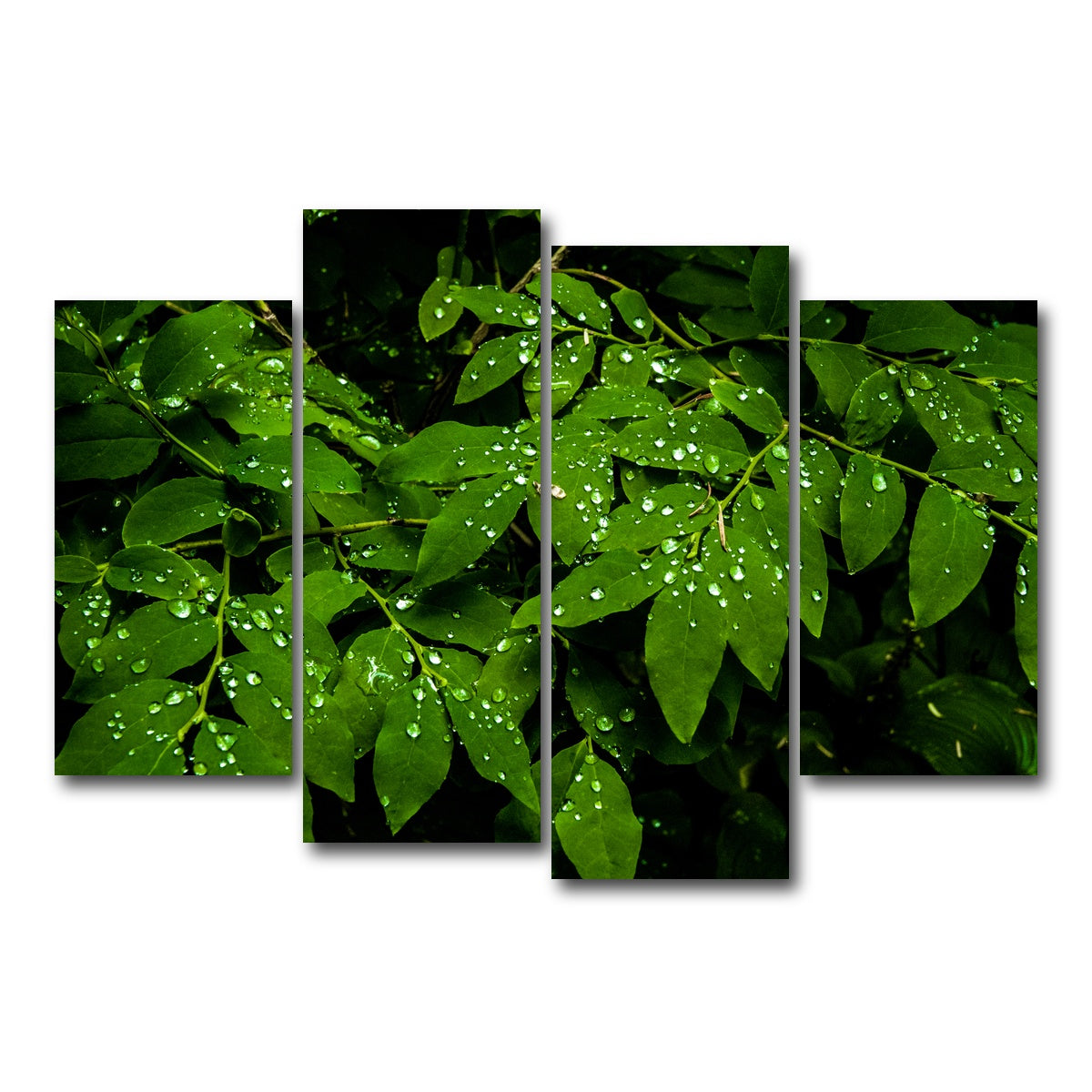 AUTO-MOCKUP WHITE | Rain Drops on Leaves | 4 Piece | Gallery Wrap Canvas | group=4_short