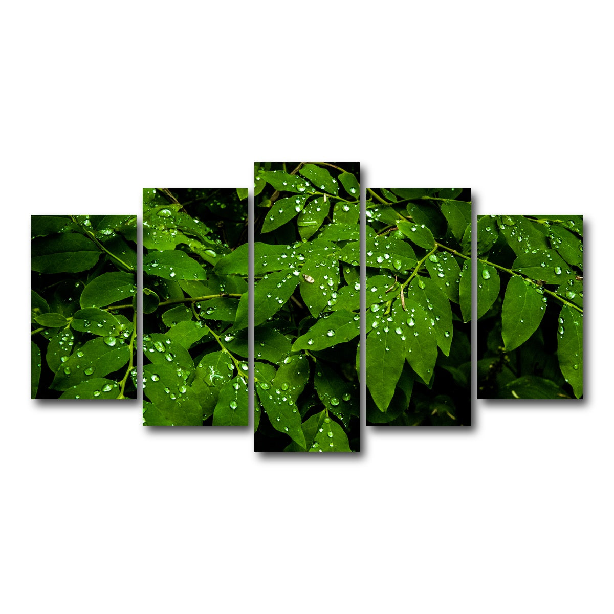 AUTO-MOCKUP WHITE | Rain Drops on Leaves | 5 Piece | Gallery Wrap Canvas | group=5_normal