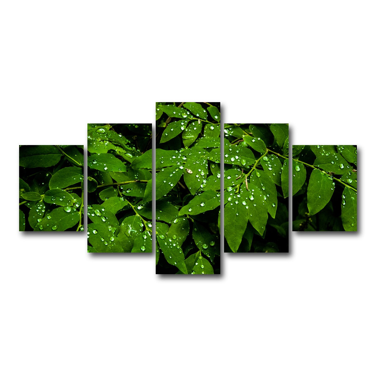 AUTO-MOCKUP WHITE | Rain Drops on Leaves | 5 Piece | Gallery Wrap Canvas | group=5_short