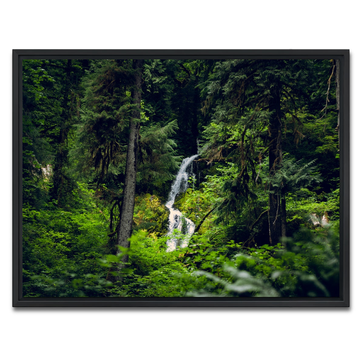 AUTO-MOCKUP WHITE | Rainforest Waterfall | 1 Piece | Black Framed Canvas | group=4x3
