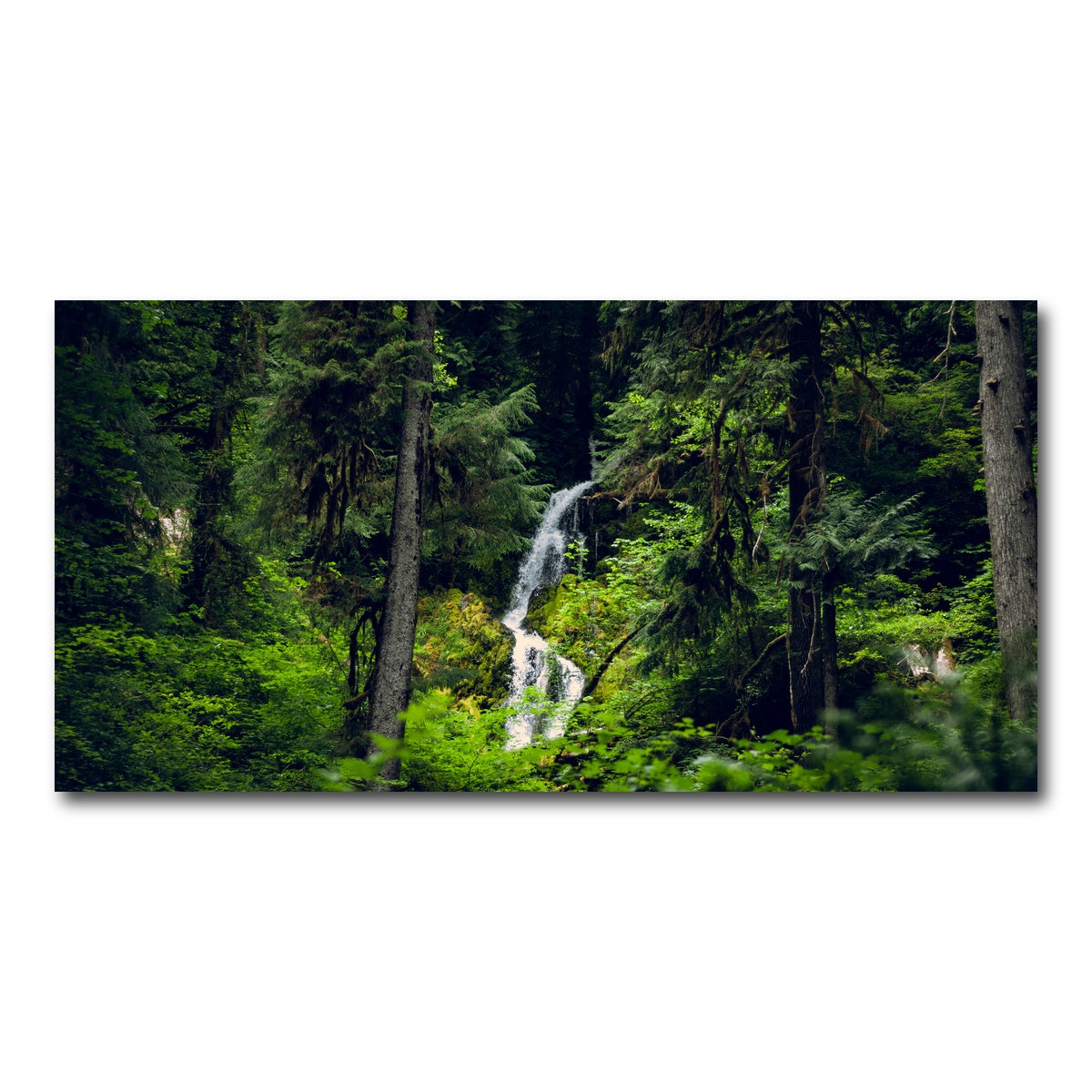 AUTO-MOCKUP WHITE | Rainforest Waterfall | 1 Piece | Gallery Wrap Canvas | group=2x1