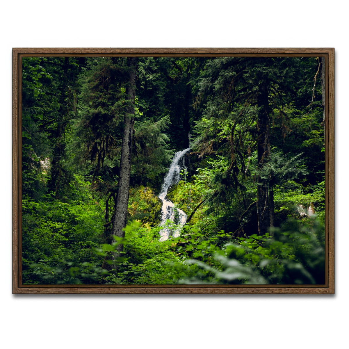 AUTO-MOCKUP WHITE | Rainforest Waterfall | 1 Piece | Walnut Framed Canvas | group=4x3