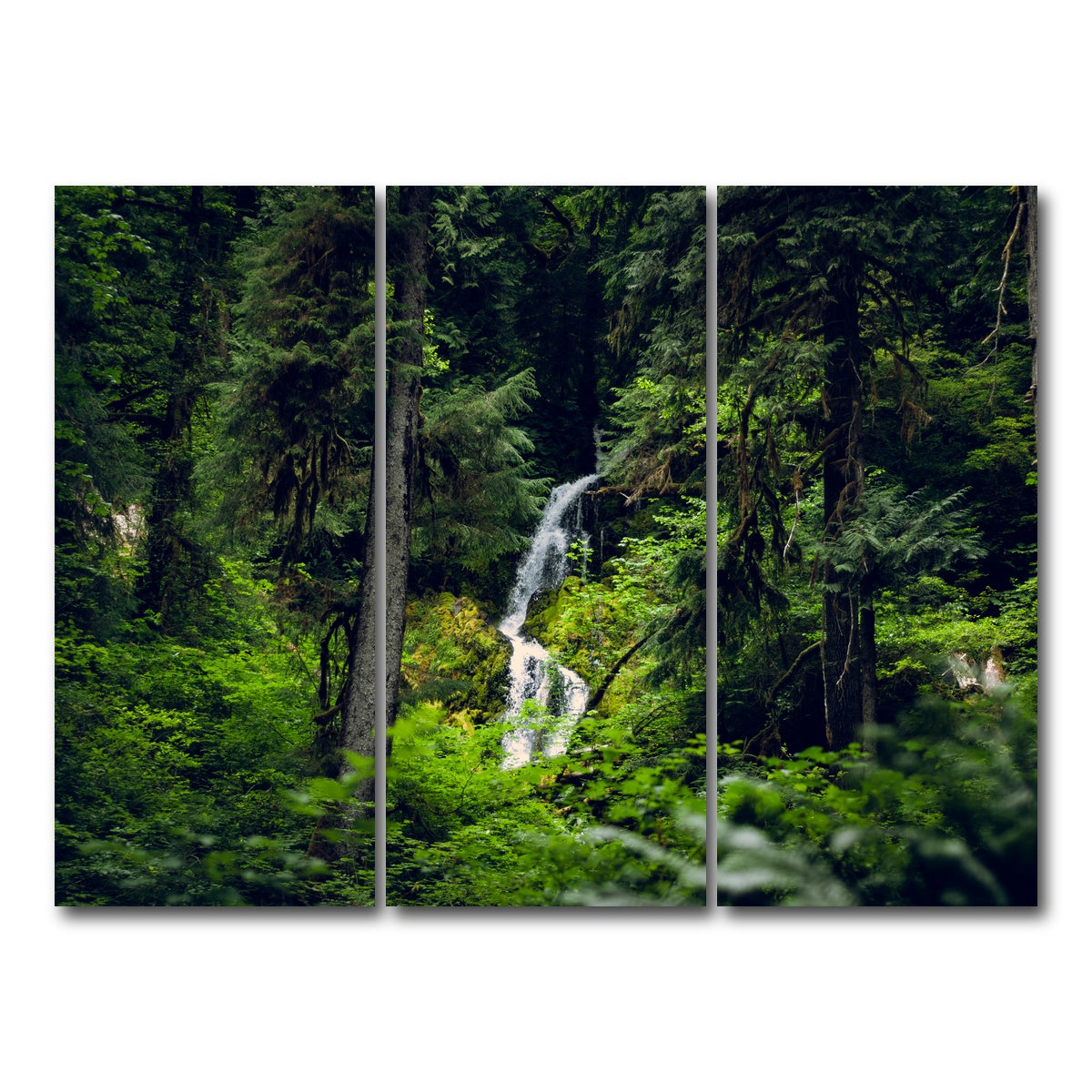 AUTO-MOCKUP WHITE | Rainforest Waterfall | 3 Piece | Gallery Wrap Canvas | group=8x18