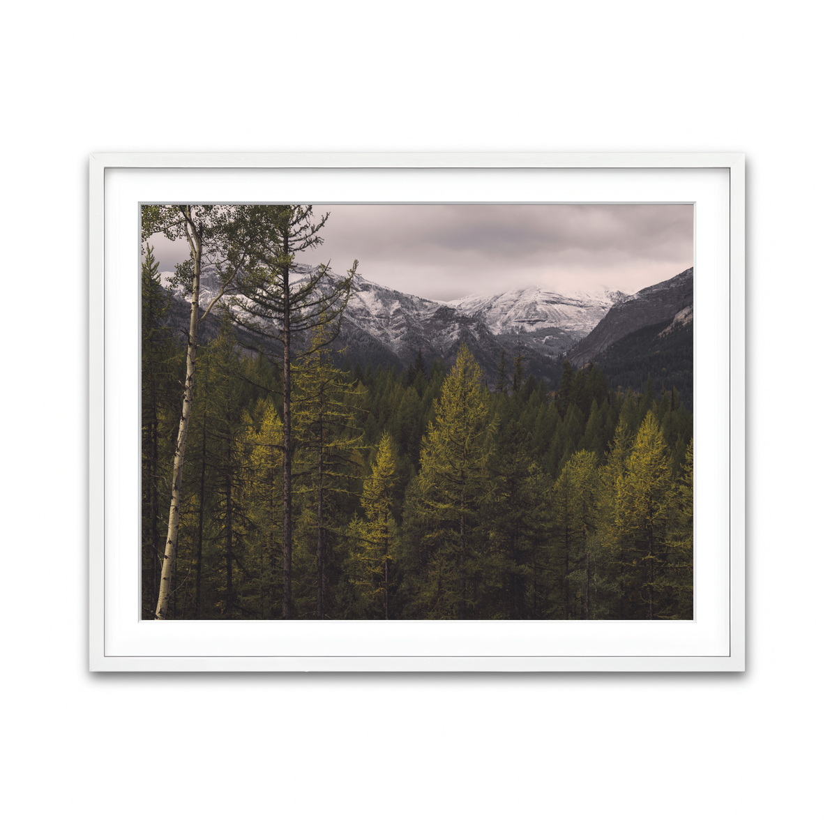 Framed Print 4x3 White