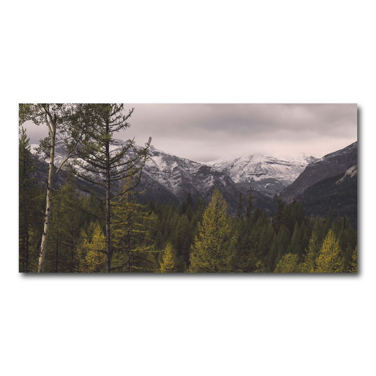 AUTO-MOCKUP WHITE | Range Road | 1 Piece | Gallery Wrap Canvas | group=2x1