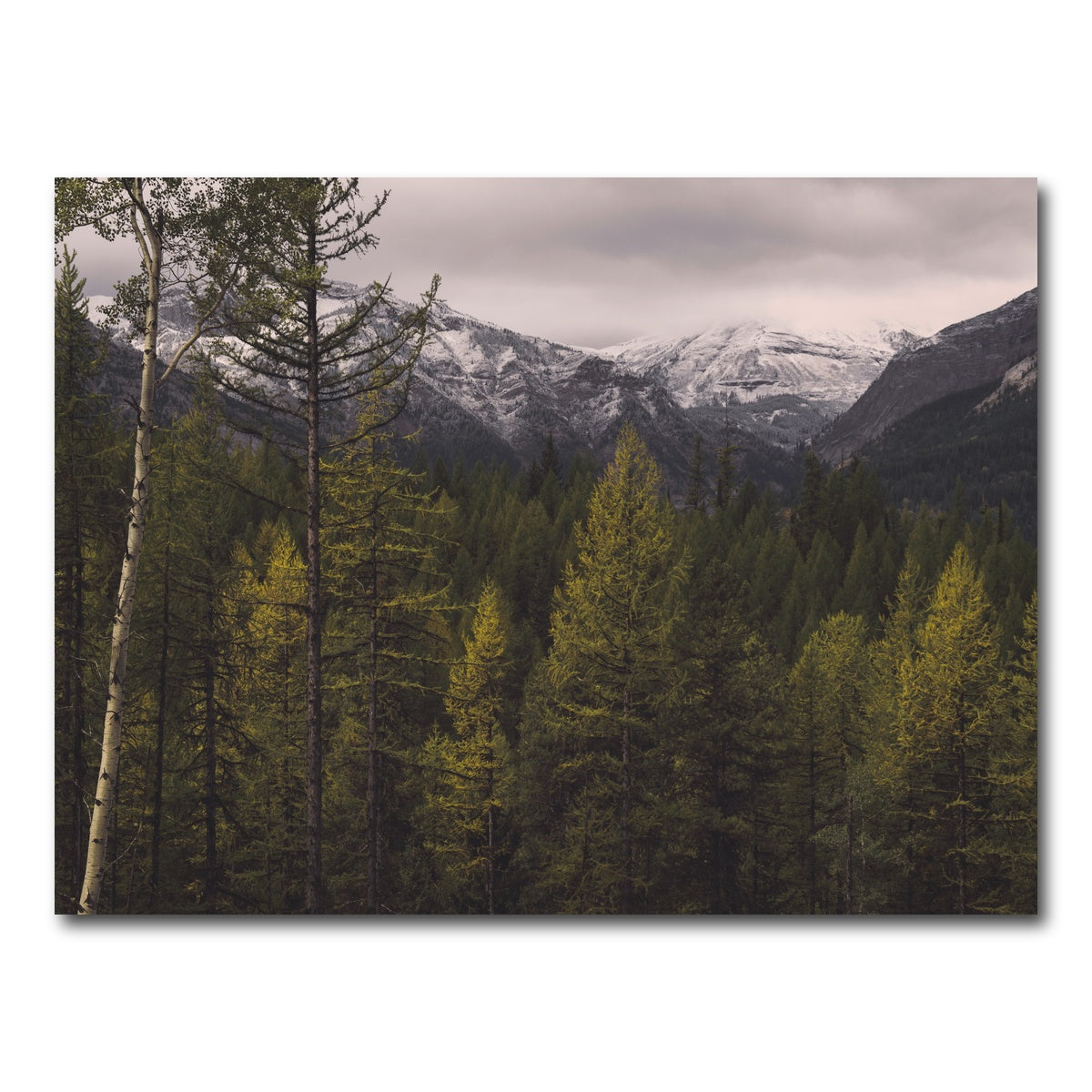 AUTO-MOCKUP WHITE | Range Road | 1 Piece | Gallery Wrap Canvas | group=4x3