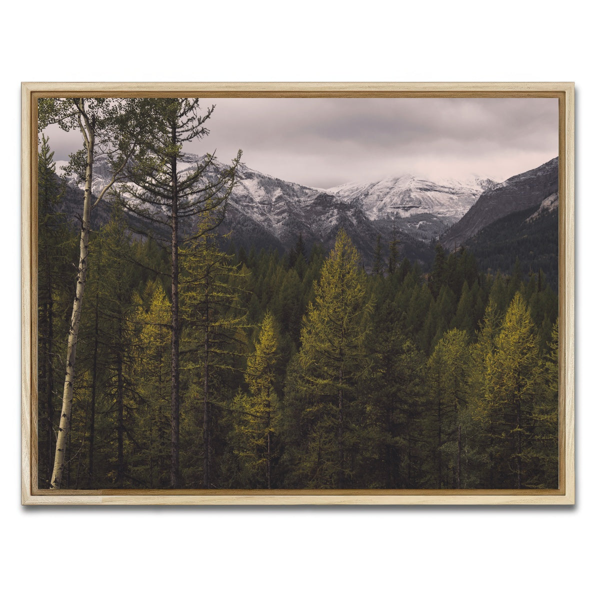 AUTO-MOCKUP WHITE | Range Road | 1 Piece | Natural Framed Canvas | group=4x3