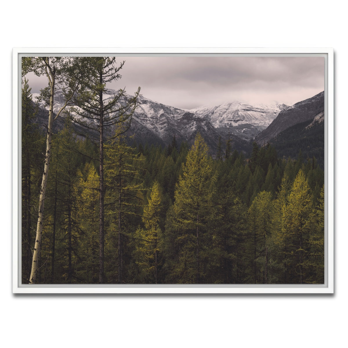 AUTO-MOCKUP WHITE | Range Road | 1 Piece | White Framed Canvas | group=4x3