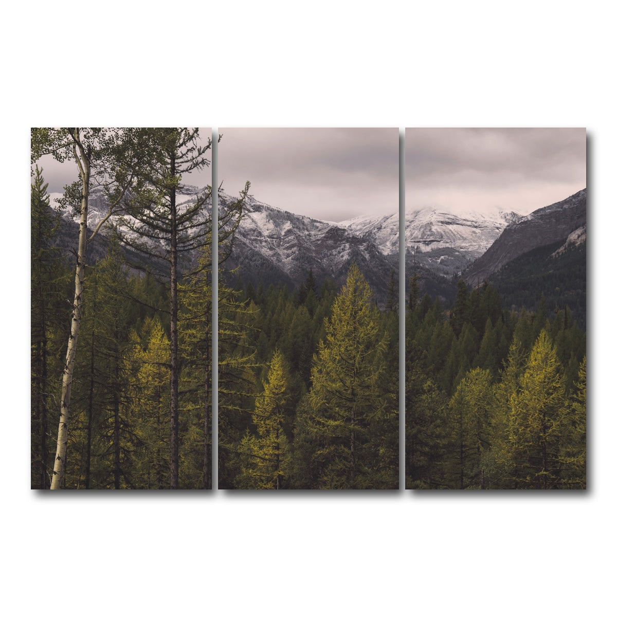 AUTO-MOCKUP WHITE | Range Road | 3 Piece | Gallery Wrap Canvas | group=12x24