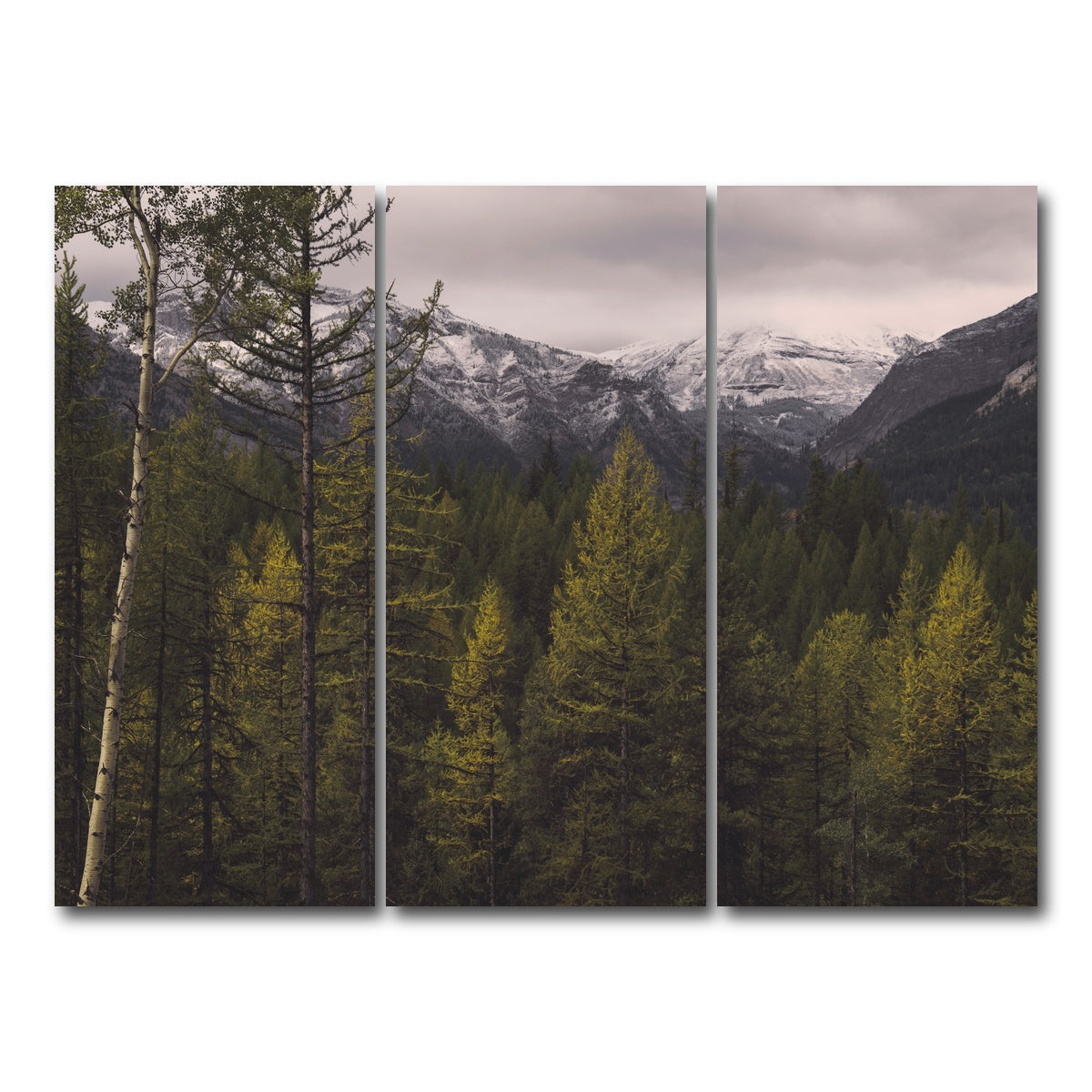 AUTO-MOCKUP WHITE | Range Road | 3 Piece | Gallery Wrap Canvas | group=8x18