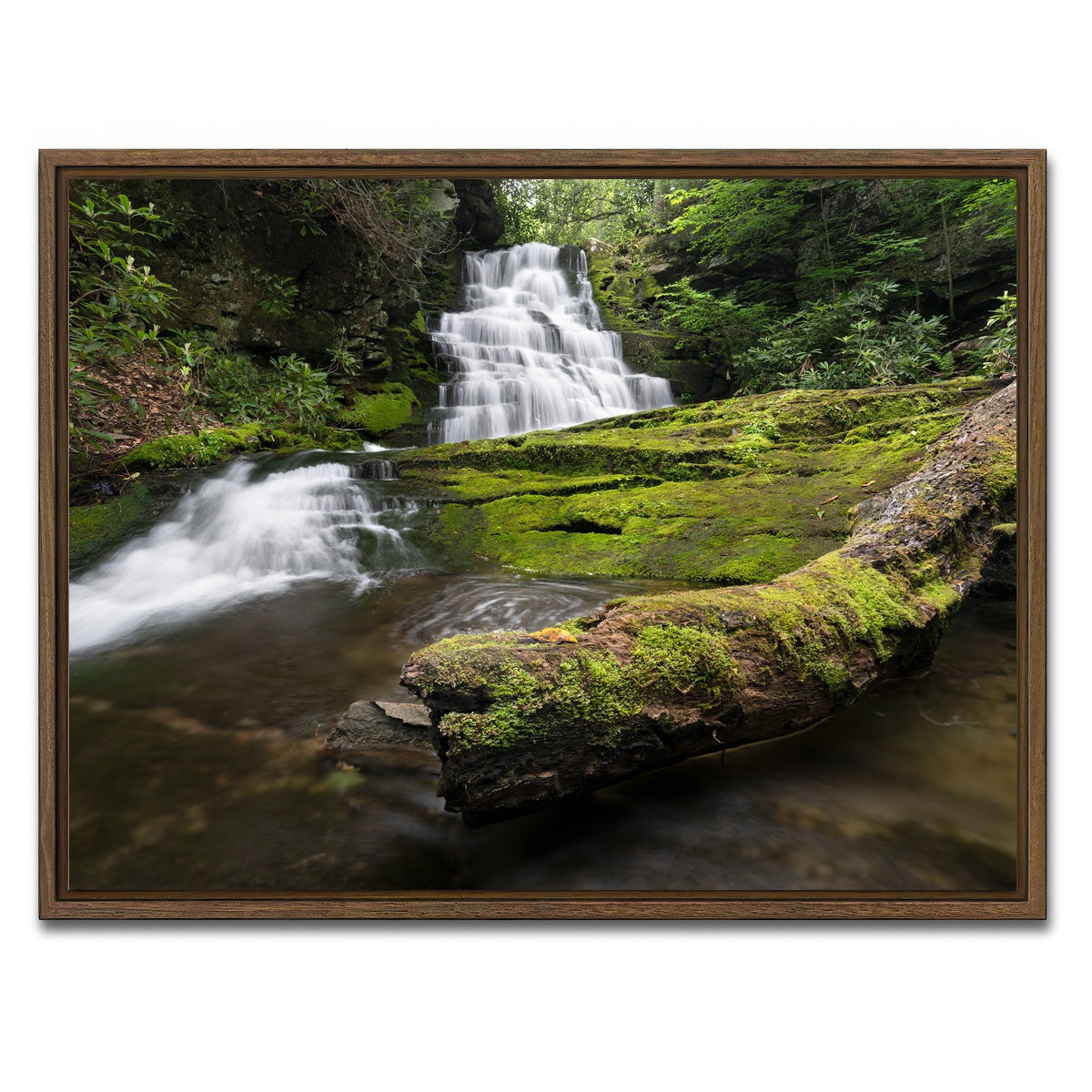 AUTO-MOCKUP WHITE | Rattlesnake Falls | 1 Piece | Walnut Framed Canvas | group=4x3
