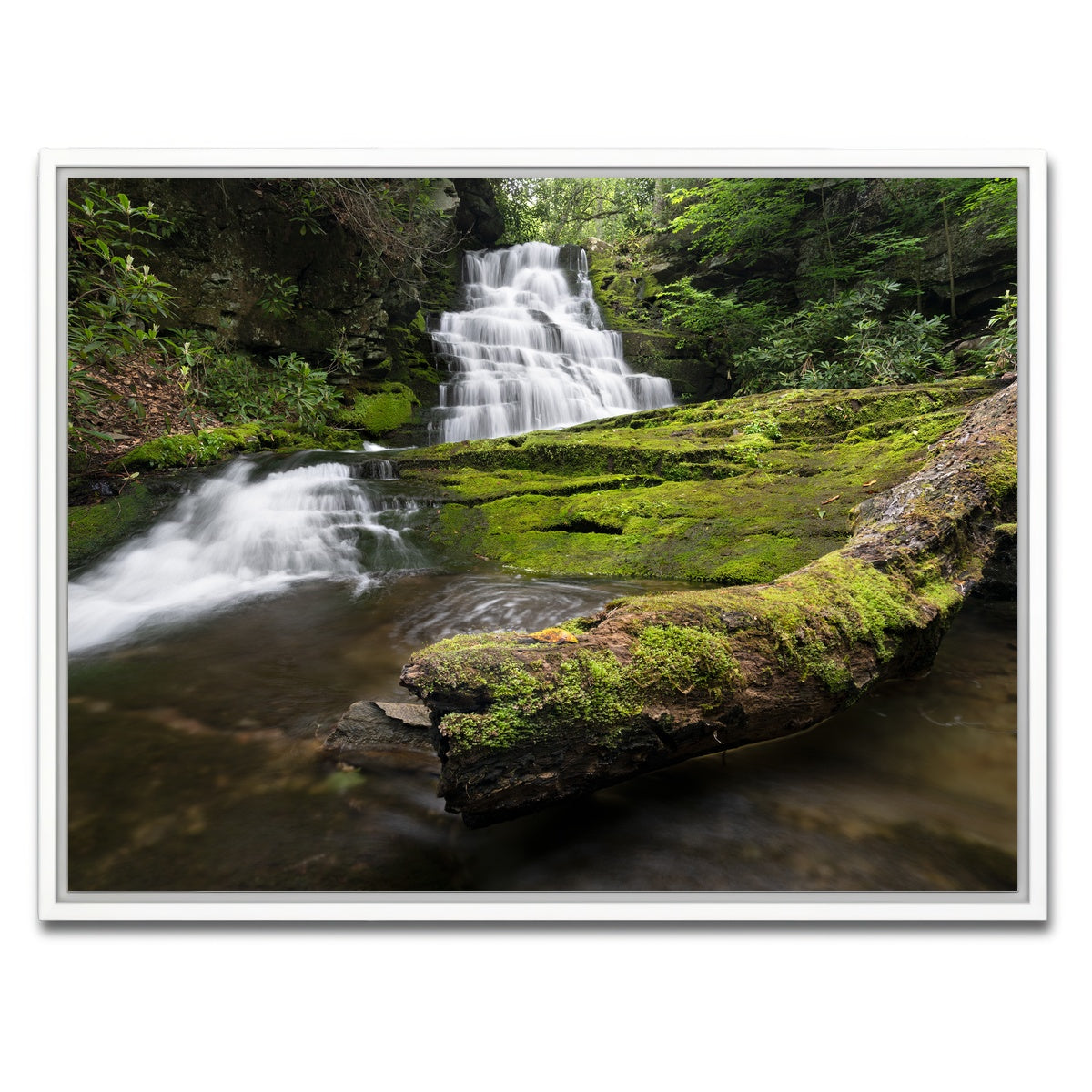 AUTO-MOCKUP WHITE | Rattlesnake Falls | 1 Piece | White Framed Canvas | group=4x3