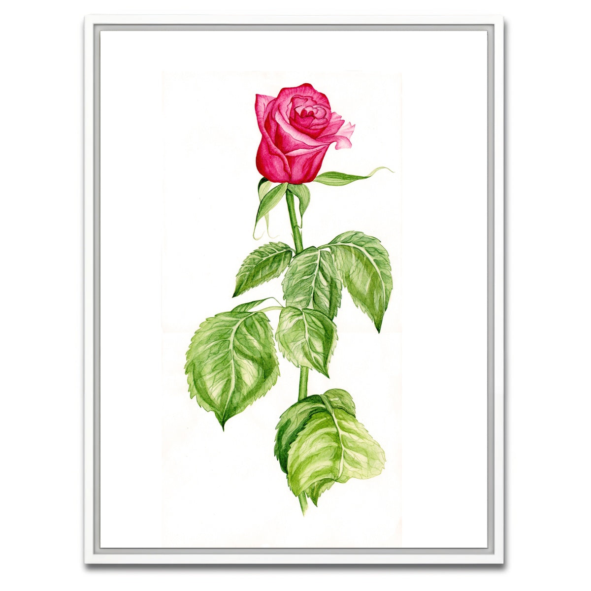 AUTO-MOCKUP WHITE | Red Rose | 1 Piece | White Framed Canvas | group=3x4