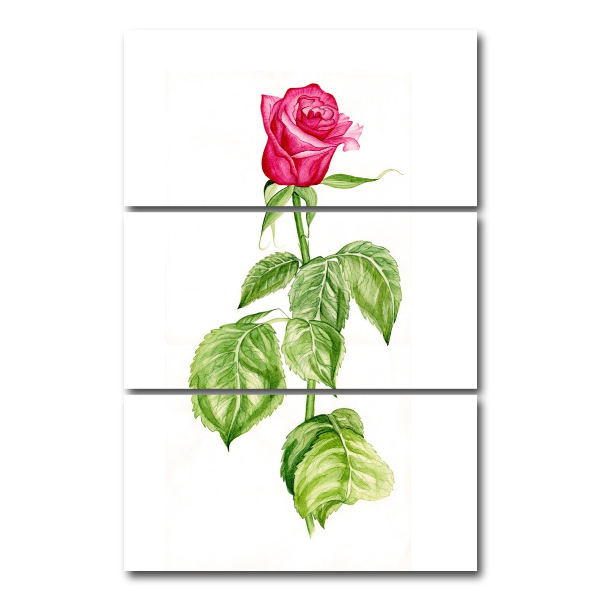 AUTO-MOCKUP WHITE | Red Rose | 3 Piece | Gallery Wrap Canvas | group=12x24_stacked