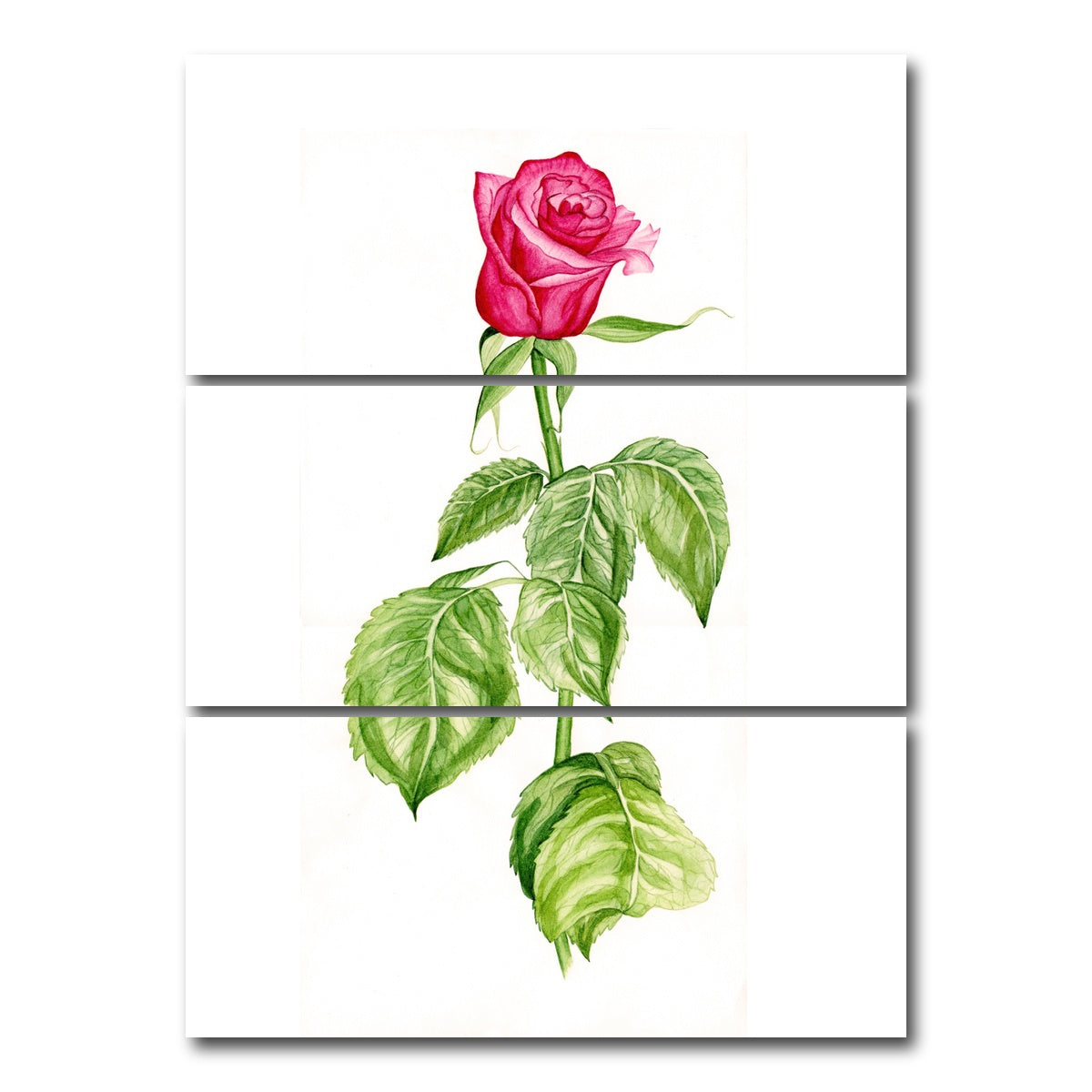 AUTO-MOCKUP WHITE | Red Rose | 3 Piece | Gallery Wrap Canvas | group=8x18_stacked