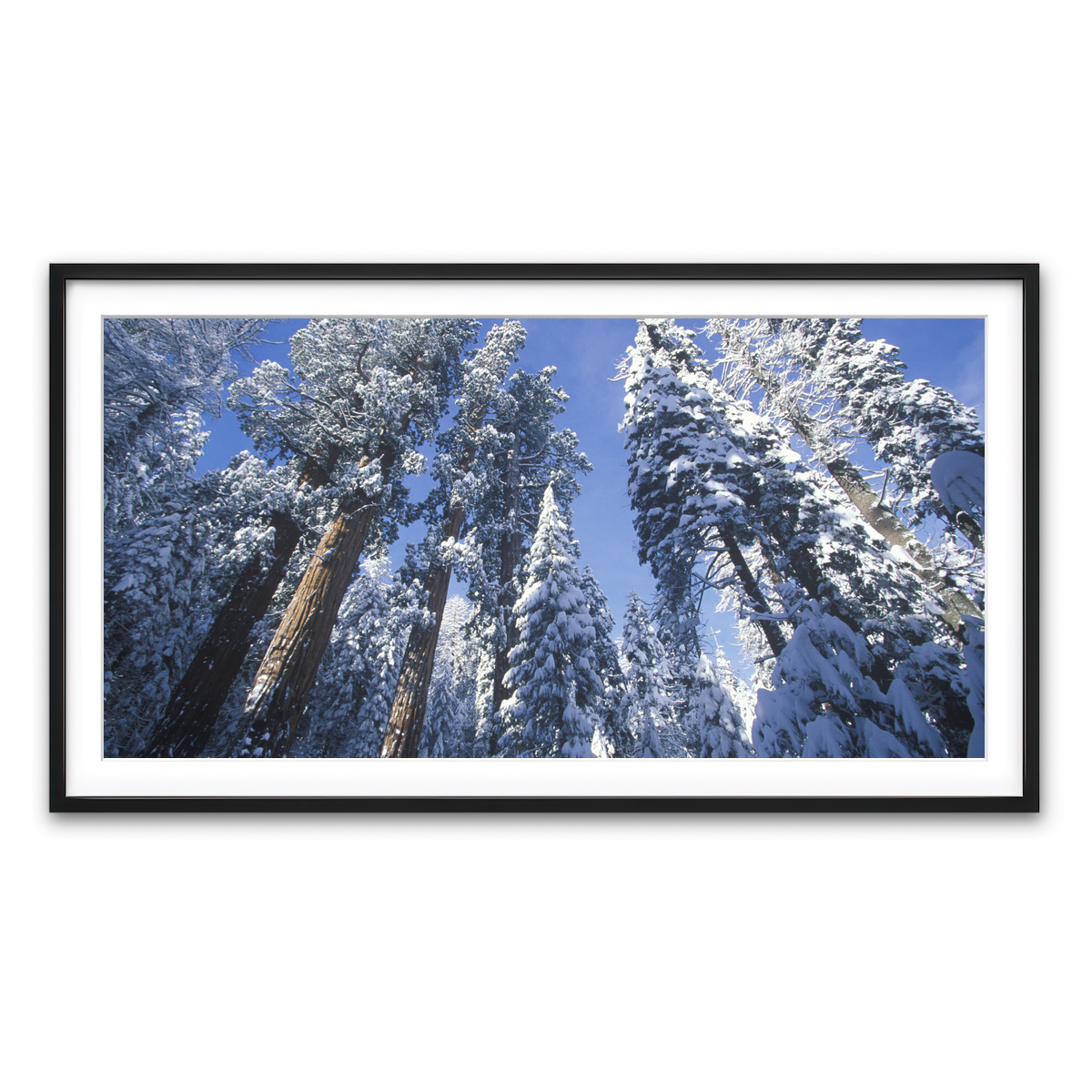 Framed Print 2x1 Black