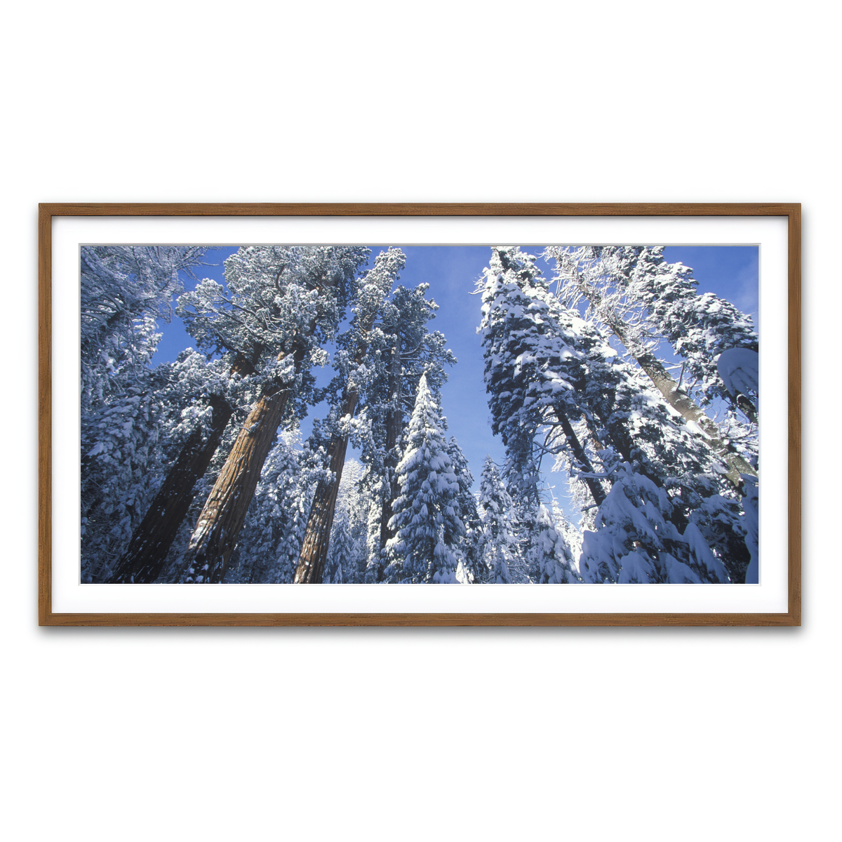 Framed Print 2x1 Walnut