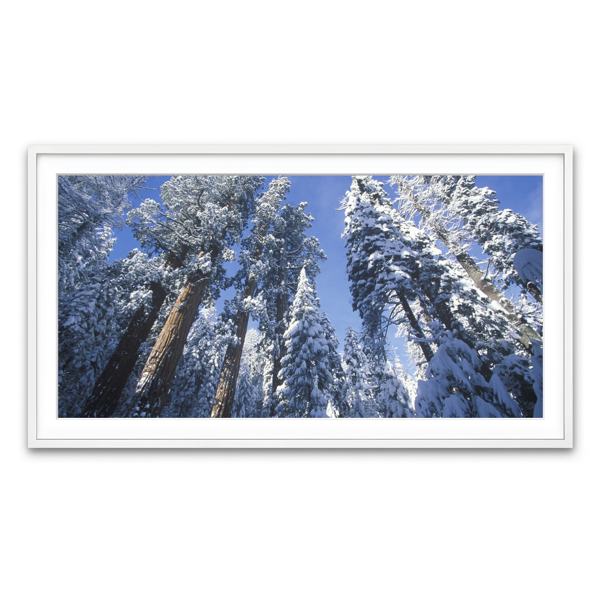 Framed Print 2x1 White