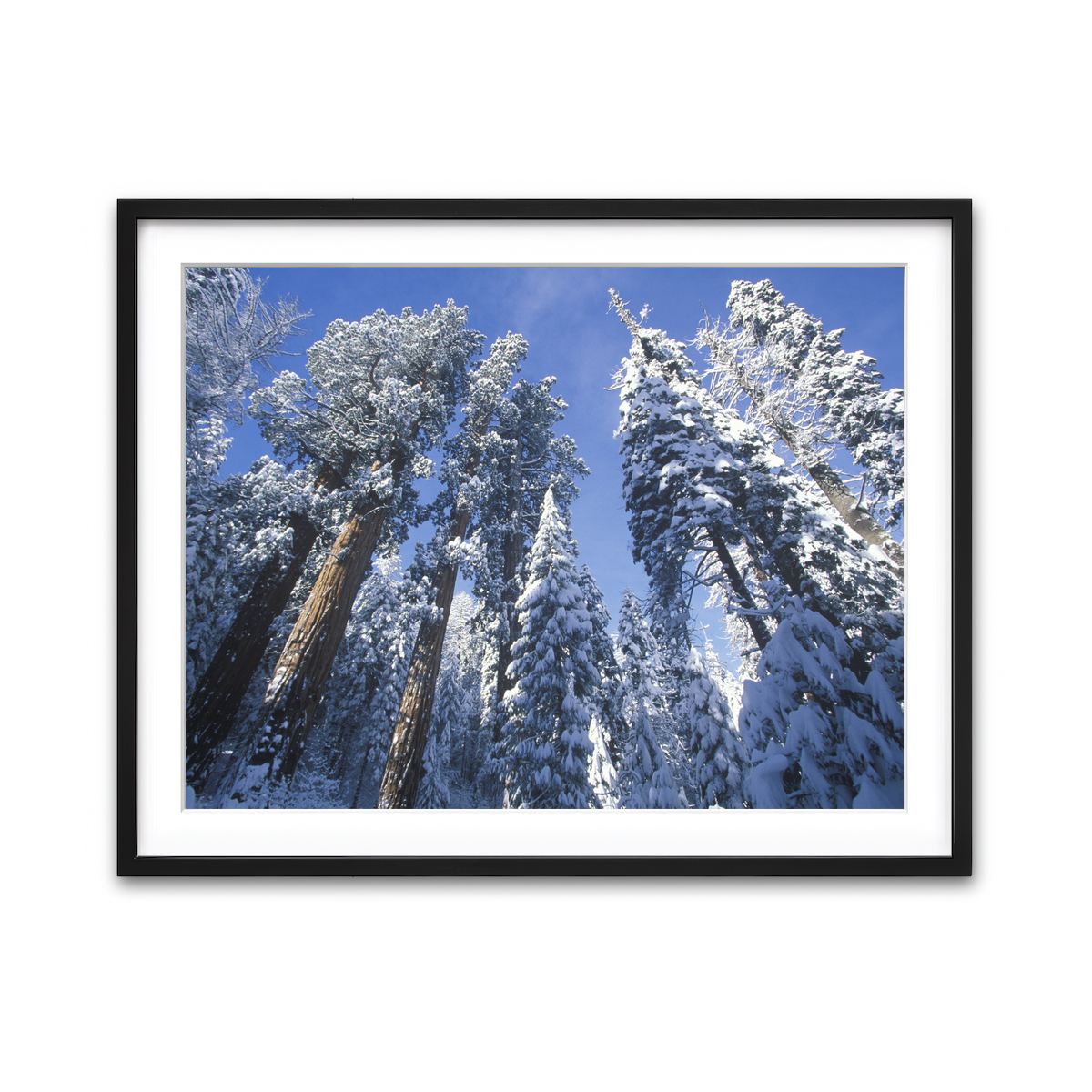 Framed Print 4x3 Black