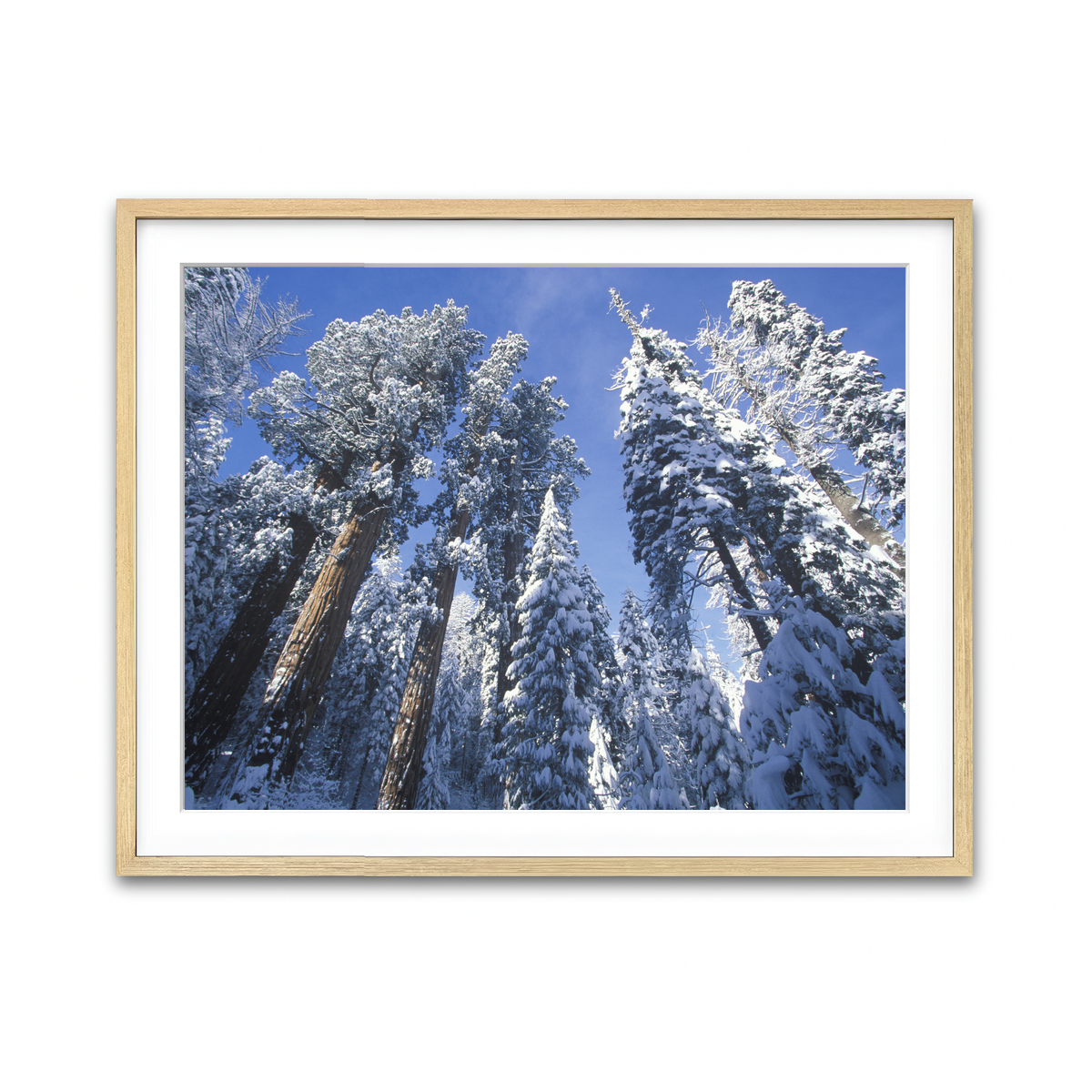 Framed Print 4x3 Natural