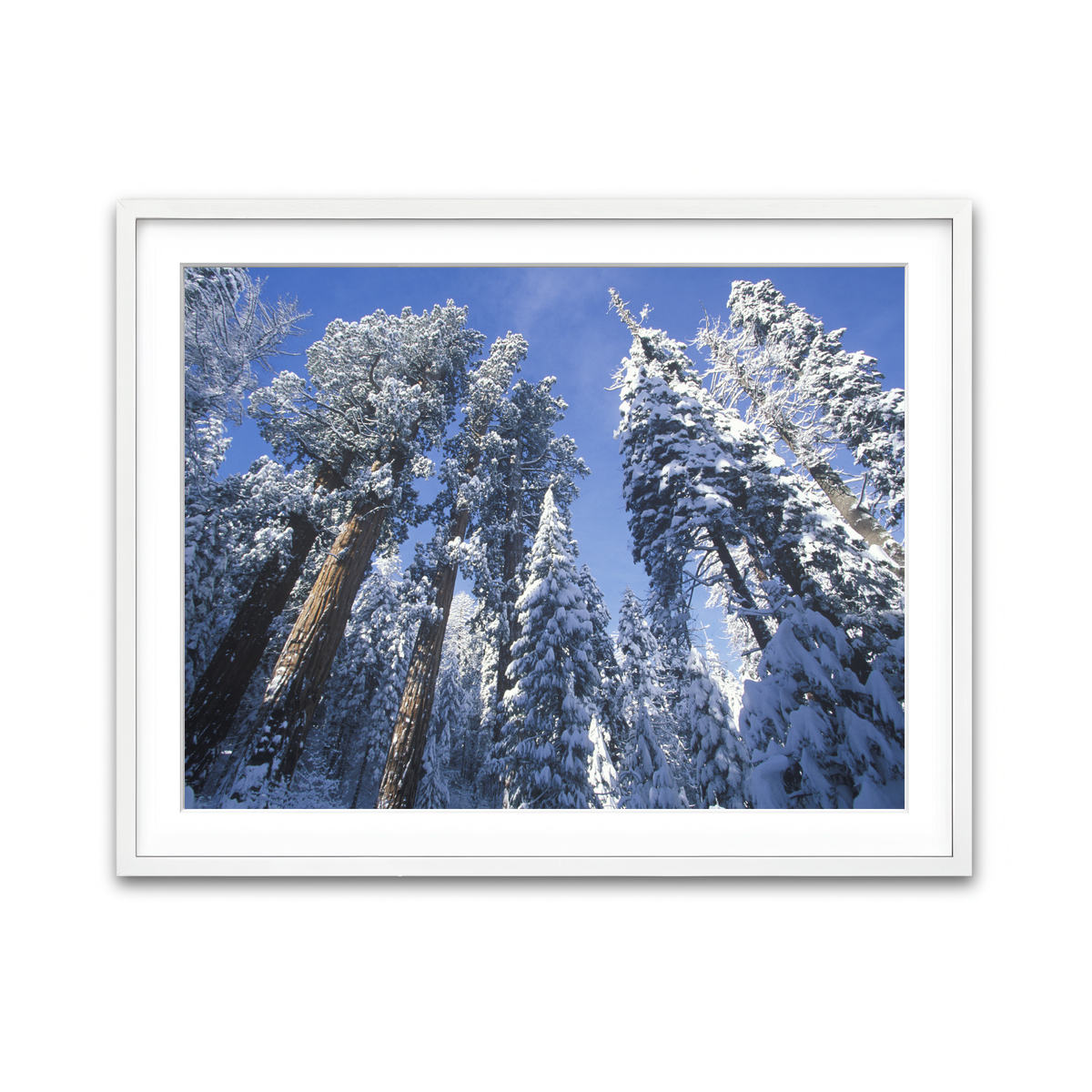 Framed Print 4x3 White