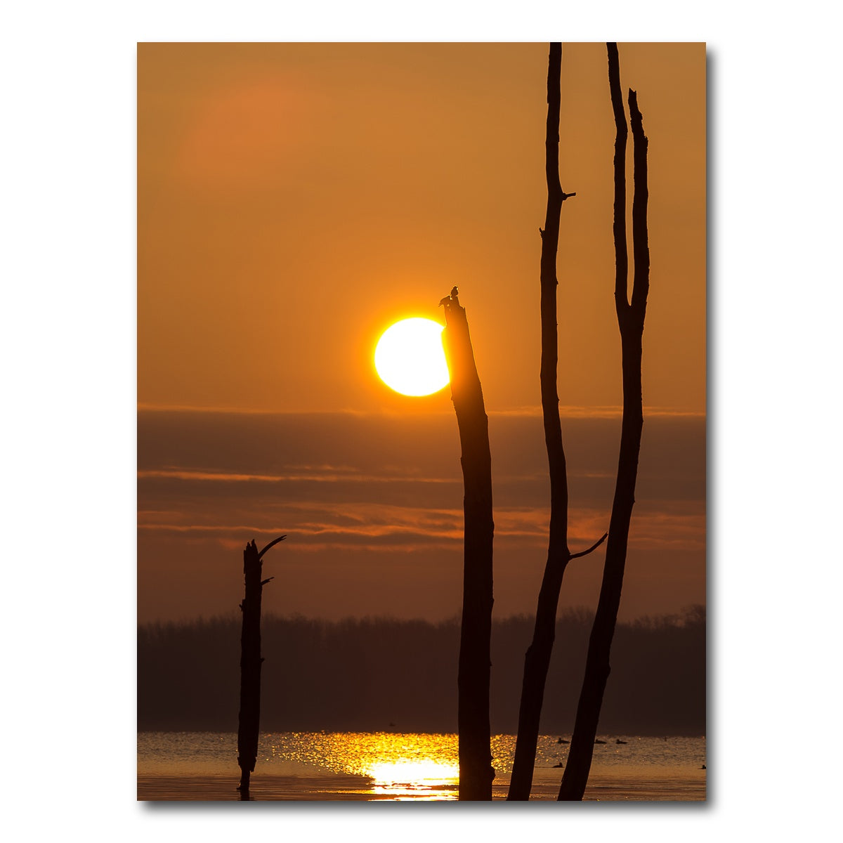 AUTO-MOCKUP WHITE | Reflective Sun | 1 Piece | Gallery Wrap Canvas | group=3x4