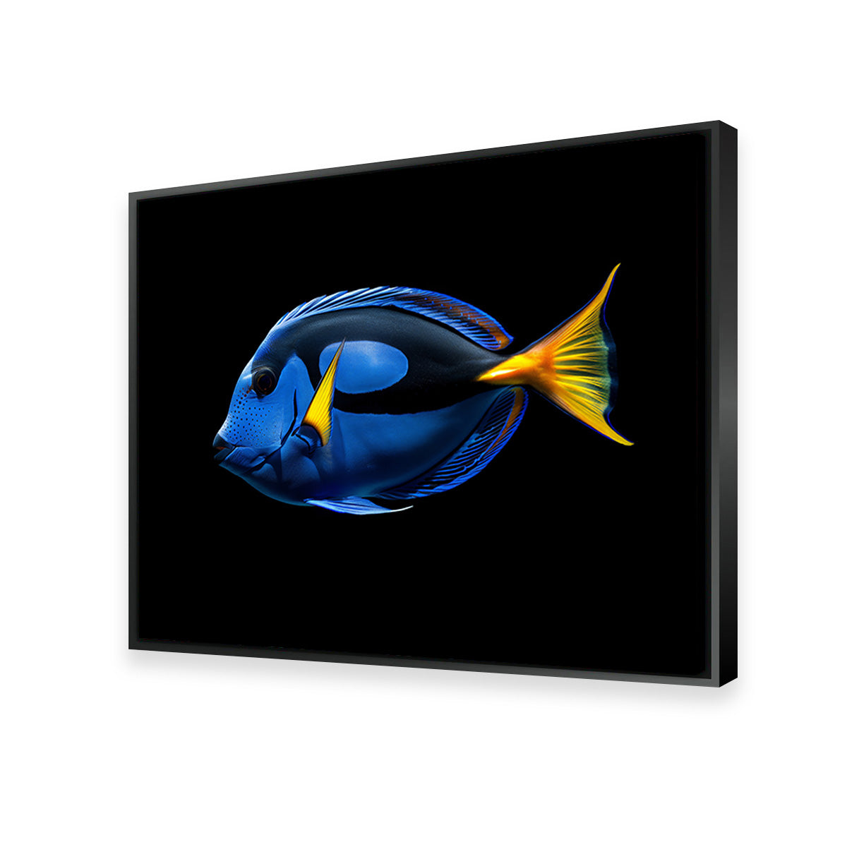 Regal Blue Tang FIsh Wall Art