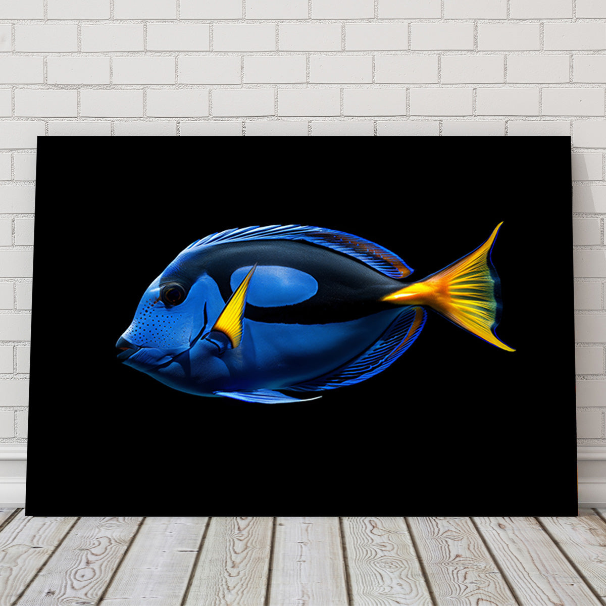 Regal Blue Tang FIsh Wall Art