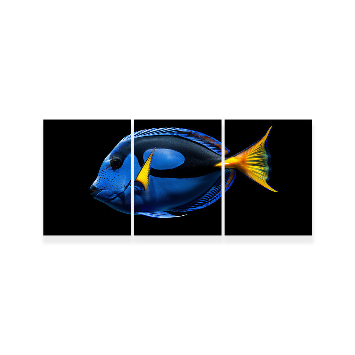 Regal Blue Tang FIsh Wall Art