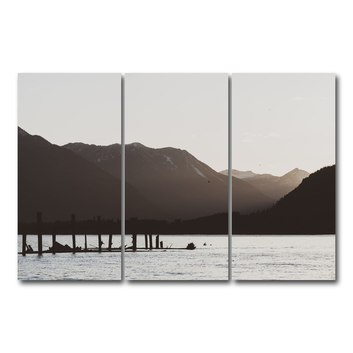AUTO-MOCKUP WHITE | Remnants of a Dock | 3 Piece | Gallery Wrap Canvas | group=12x24