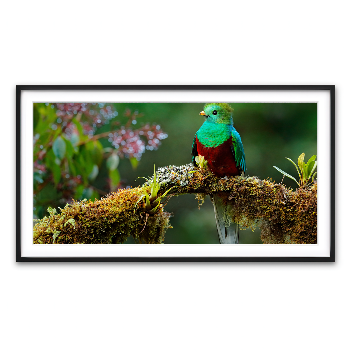 Framed Print 2x1 Black