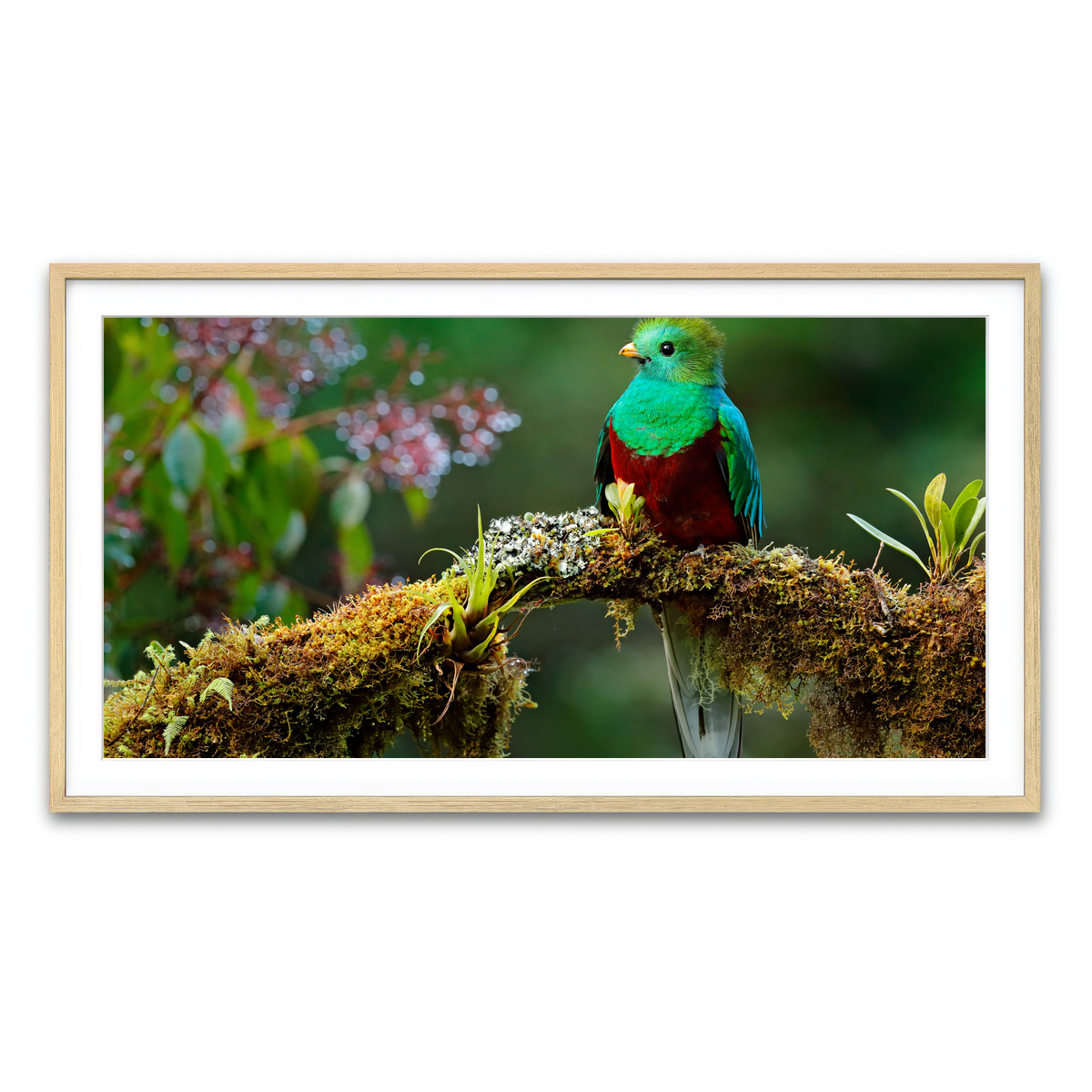 Framed Print 2x1 Natural