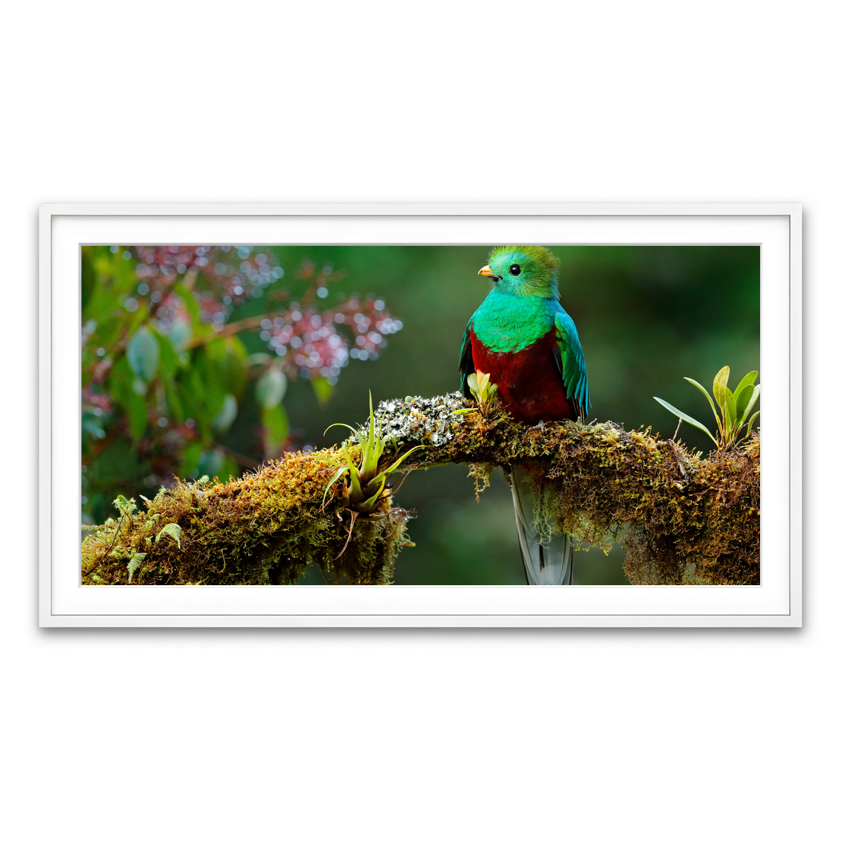 Framed Print 2x1 White