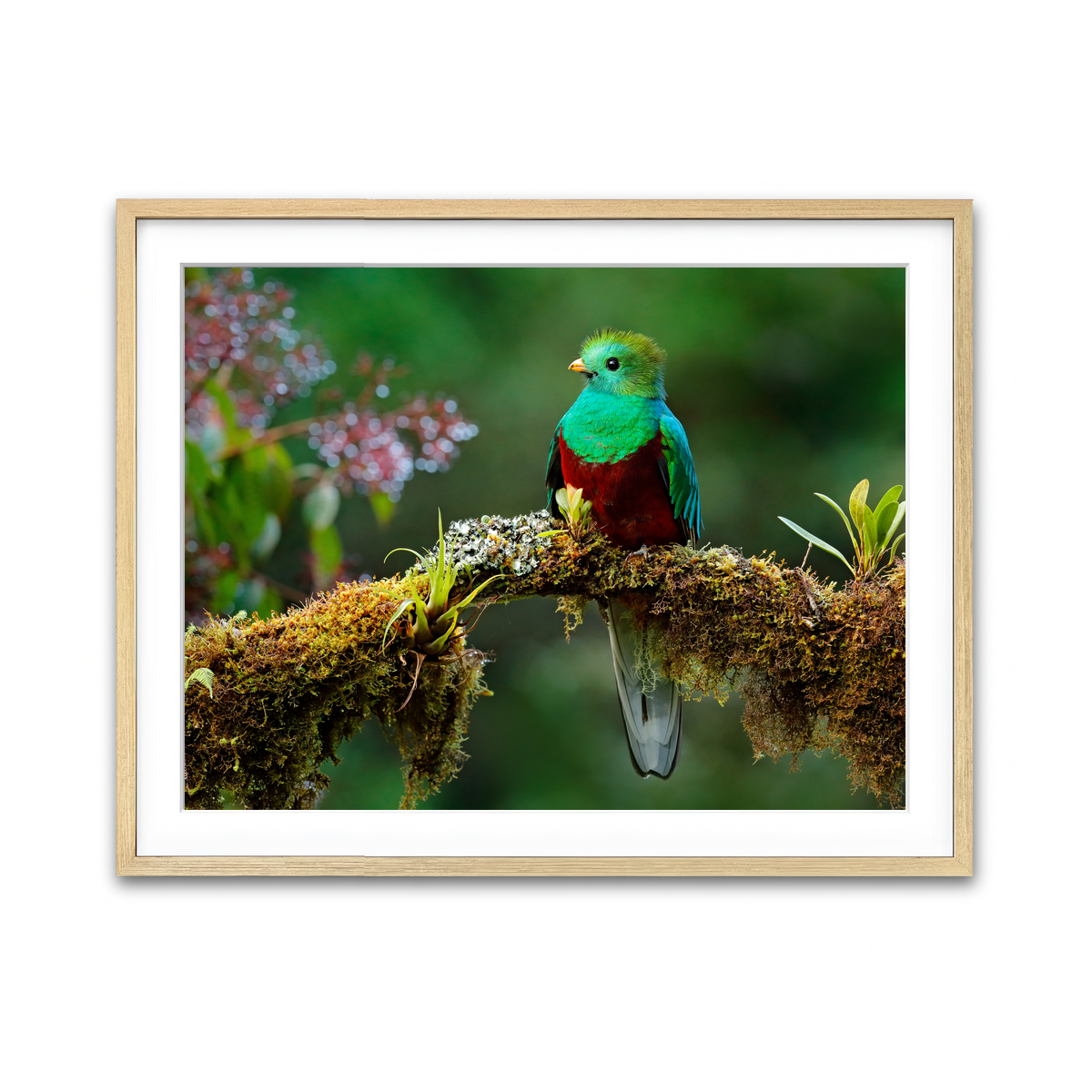 Framed Print 4x3 Natural