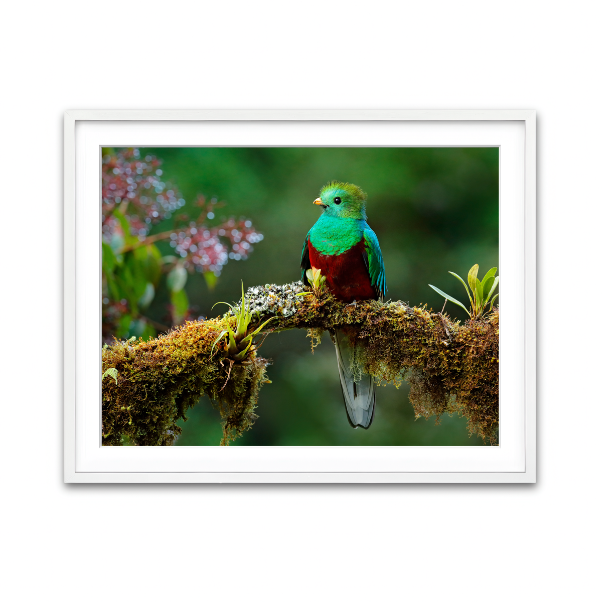 Framed Print 4x3 White
