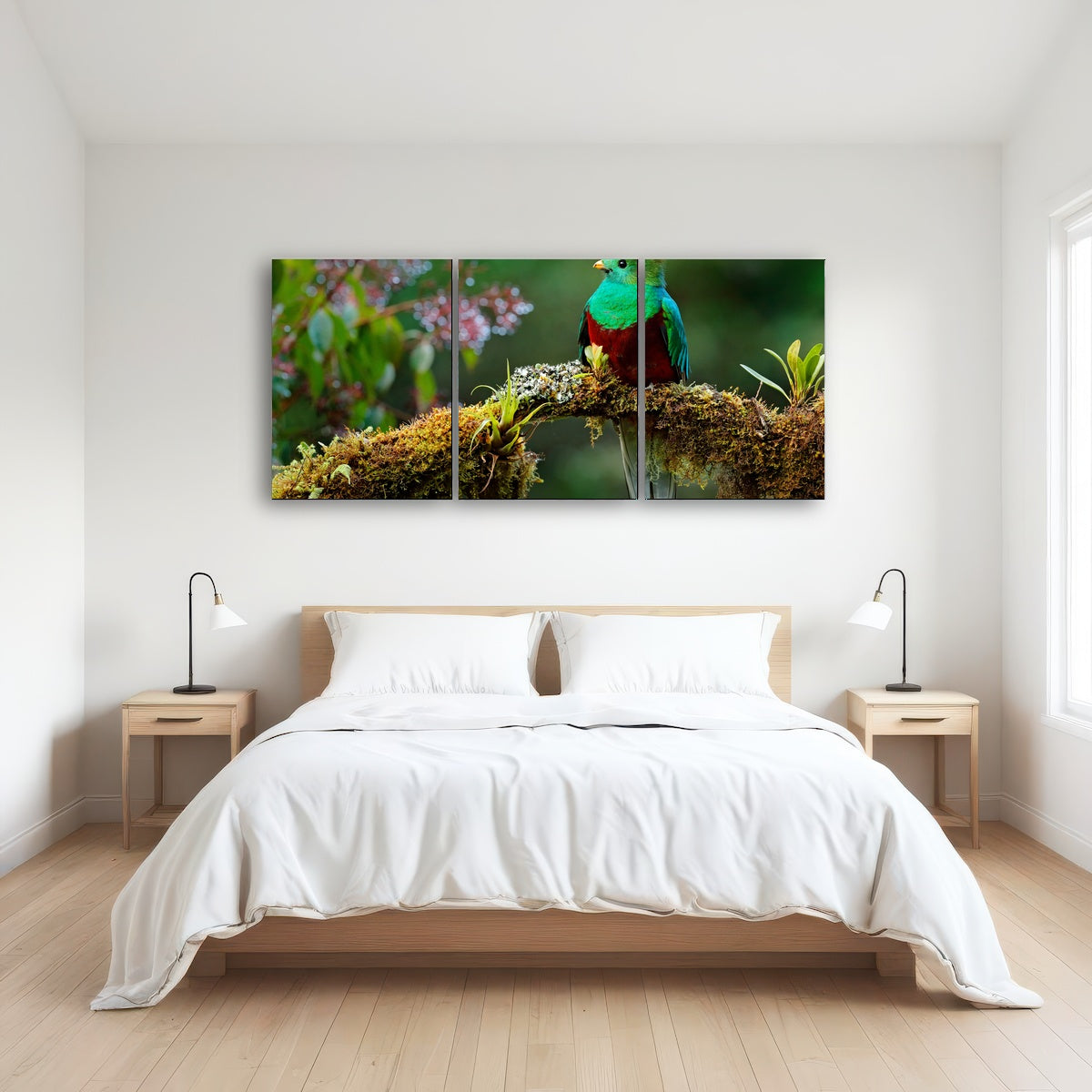 AUTO-MOCKUP ROOM | Resplendent quetzal