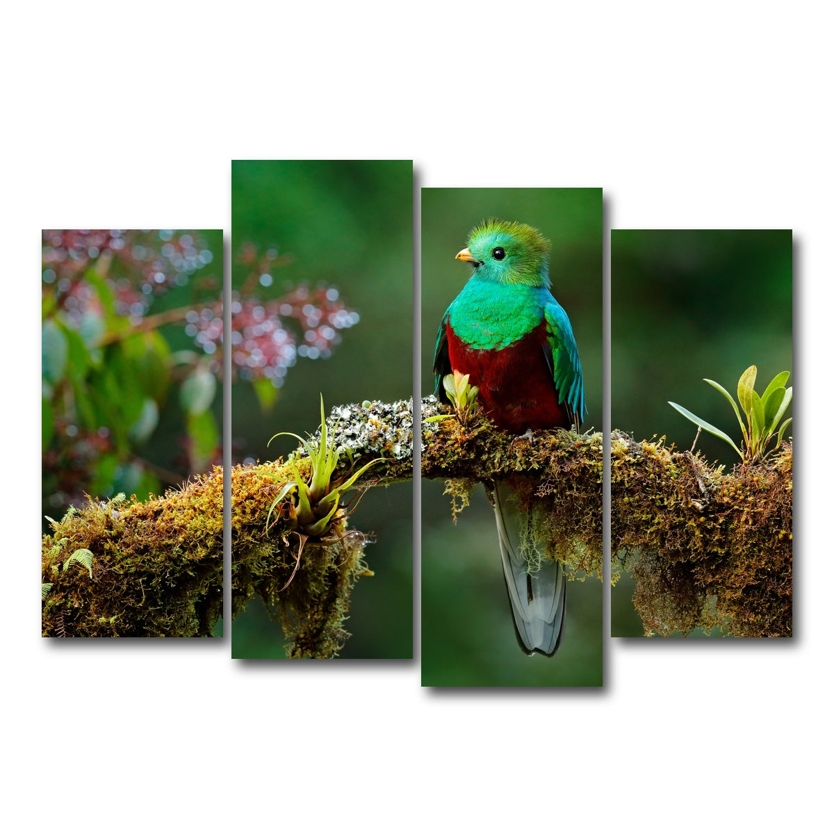 AUTO-MOCKUP WHITE | Resplendent quetzal | 4 Piece | Gallery Wrap Canvas | group=4_normal