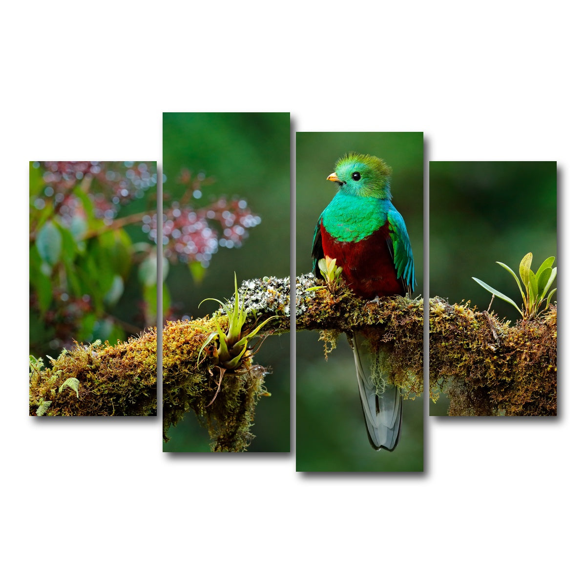 AUTO-MOCKUP WHITE | Resplendent quetzal | 4 Piece | Gallery Wrap Canvas | group=4_short