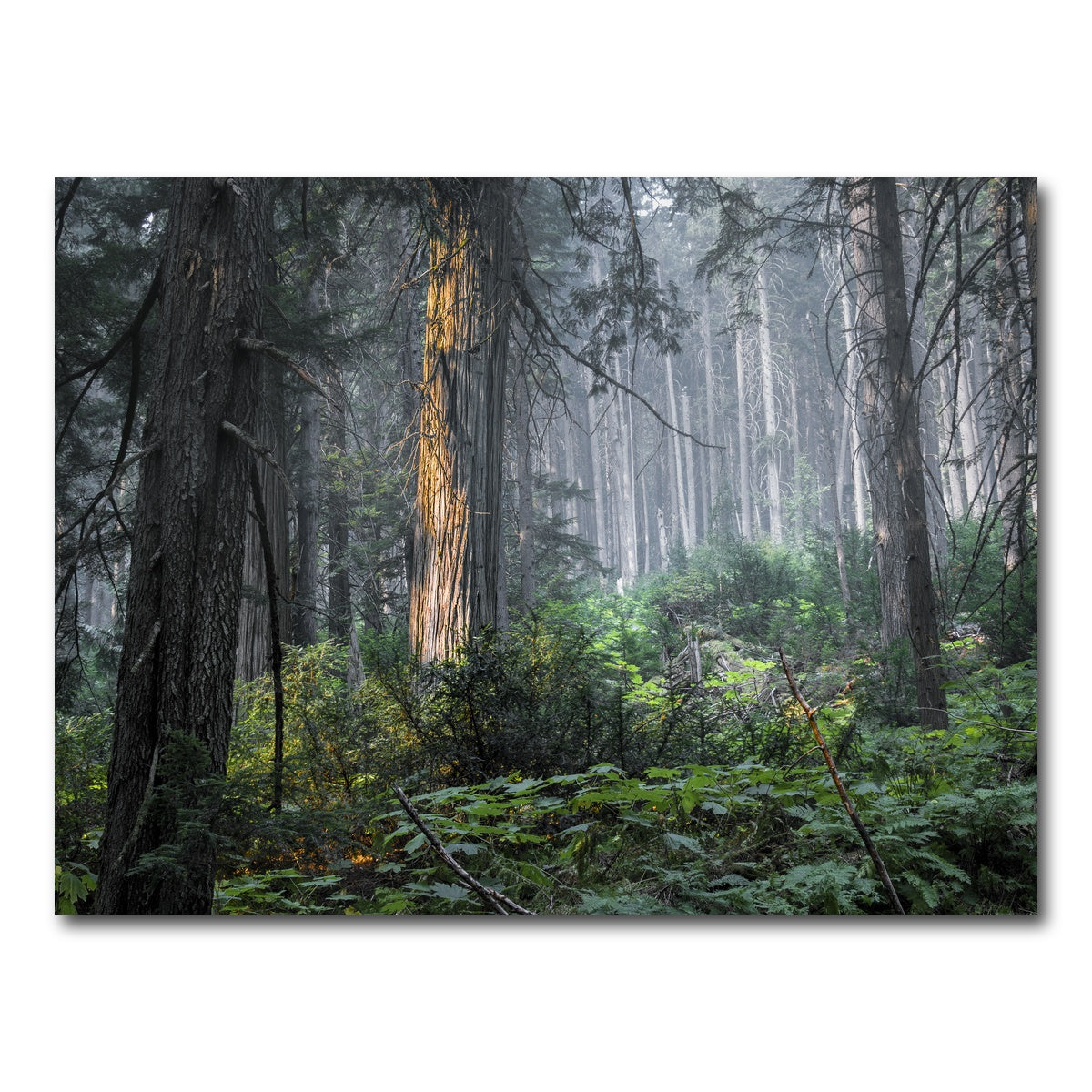 AUTO-MOCKUP WHITE | Revelstoke | 1 Piece | Gallery Wrap Canvas | group=4x3