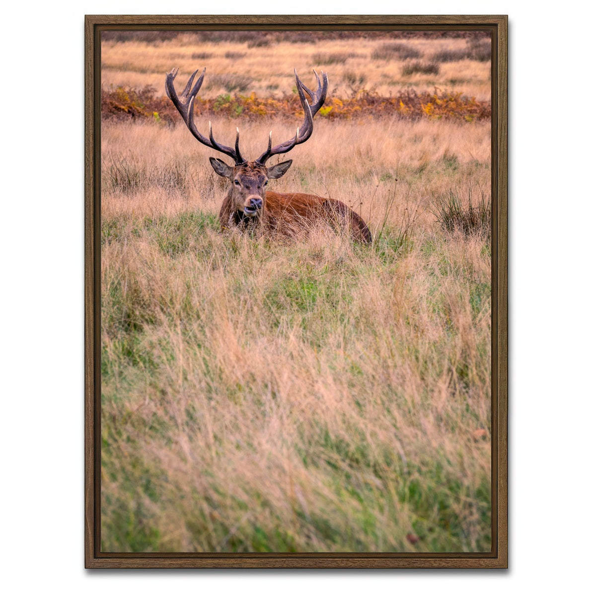 AUTO-MOCKUP WHITE | Richmond Park | 1 Piece | Walnut Framed Canvas | group=3x4